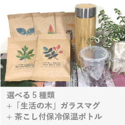 選べる5種類＋「生活の木」ガラスマグ＋茶こし付保冷保温ボトル