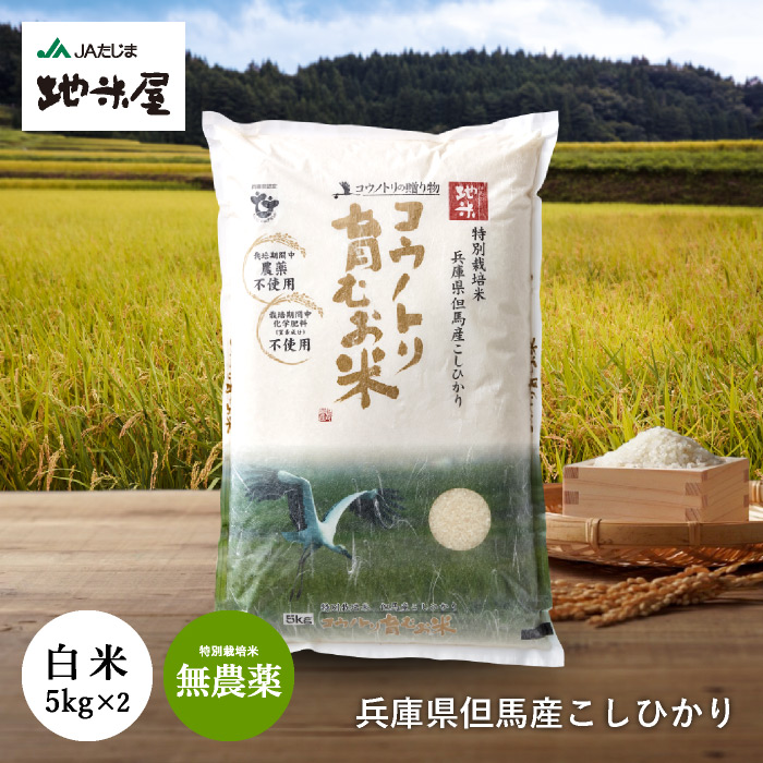 新米 コウノトリ育むお米 無農薬 白米 5kg×2