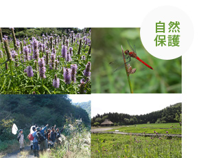 日本自然保護協会の活動の様子