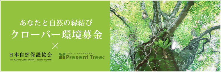 クローバー環境募金　日本自然保護協会　ＮＣＳＪ　プレゼントツリー　present tree 環境リレーションズ研究所　ネオナチュラル　オーガニック