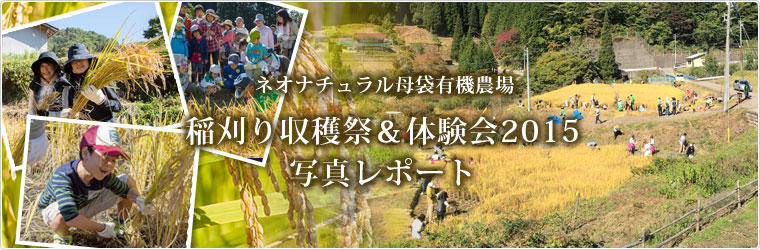 母袋有機農場2015年稲刈り体験会　岐阜県郡上市