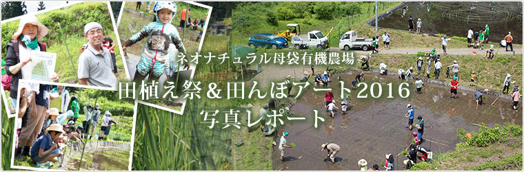 母袋有機農場 第５回稲刈り収穫祭・体験会のお知らせ　岐阜県郡上市