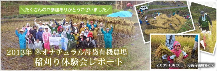 母袋有機農場 2013年稲刈り体験会　岐阜県郡上市