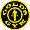 GOLD'S GYM ゴールドジム パワーベルト（2ピンタイプ ダブルピン） G3352